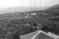 1 Tenerife Los Realejos Hacienda La Gorvorana-2 Custom