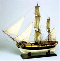 Articulo bombarda-1 Custom