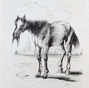 El más universal de todos los caballos  (Relatos – 3)