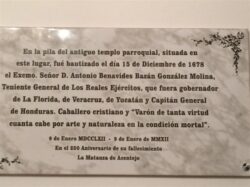 placa benavides Custom