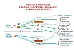 Pecios-1 Custom