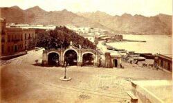 La Alameda de Santa Cruz Tenerife 1876 Custom