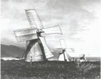 Llano de Los Molinos Custom