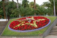 01 - Reloj de Flores Custom