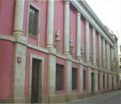 Museo-1 Custom