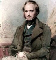 Darwin Personalizado