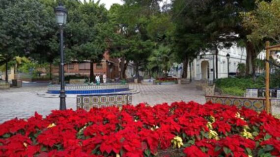 NUESTRAS PLAZAS (4). Plaza  25 de Julio
